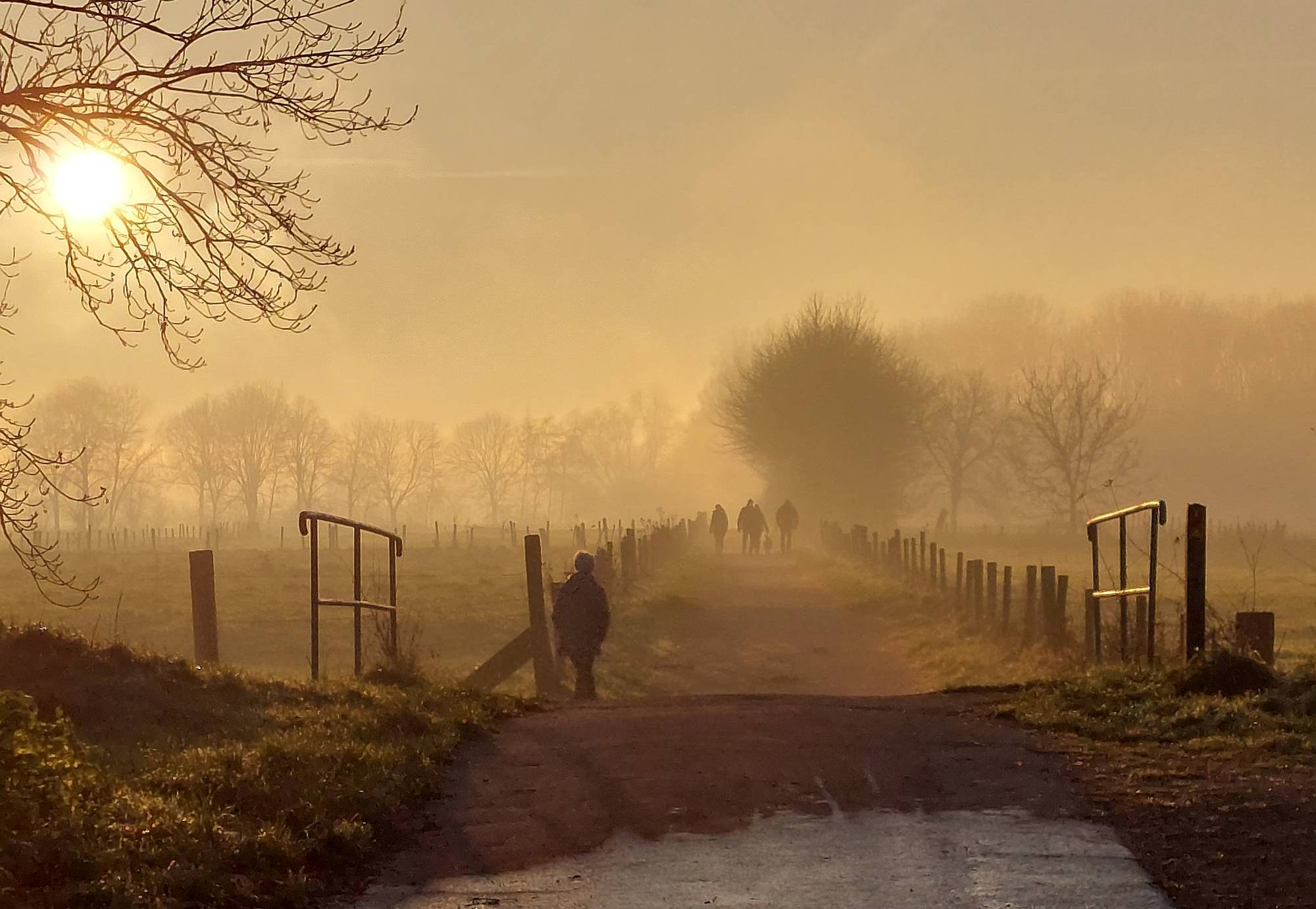An der Rur bei Ophoven - 28.12.24 - AP